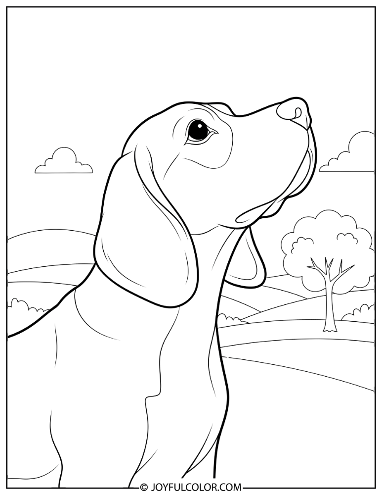 Alert Beagle Nose Up Coloring Page