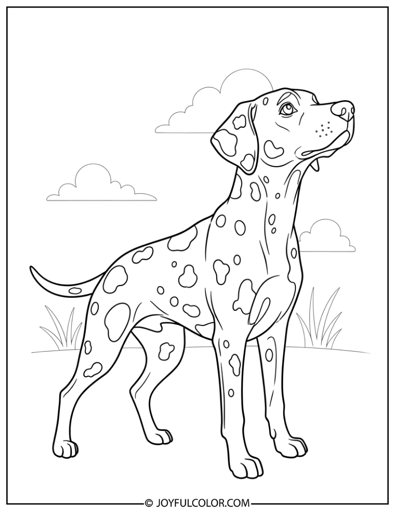 Alert Dalmatian Pose Coloring Page