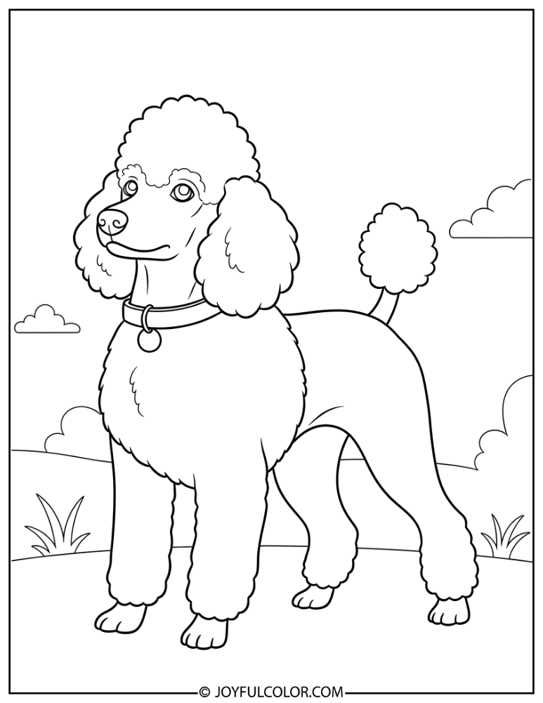 Alert Poodle Pose Coloring Page
