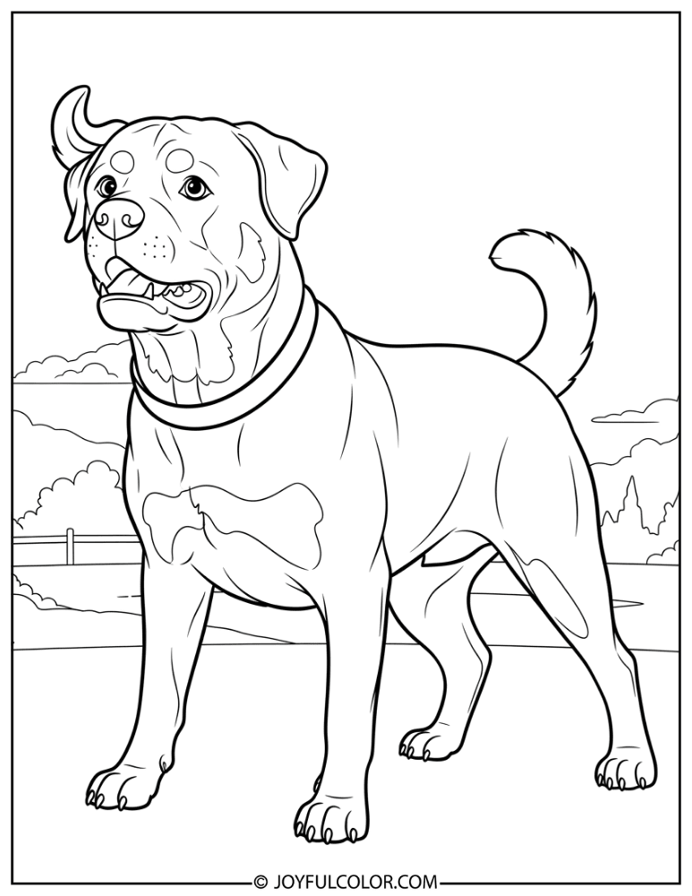 Alert Rottweiler Barking Coloring Page