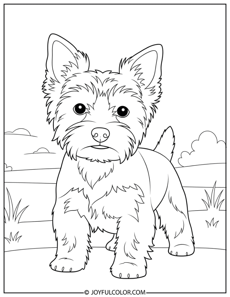 Alert Yorkie Pose Coloring Page