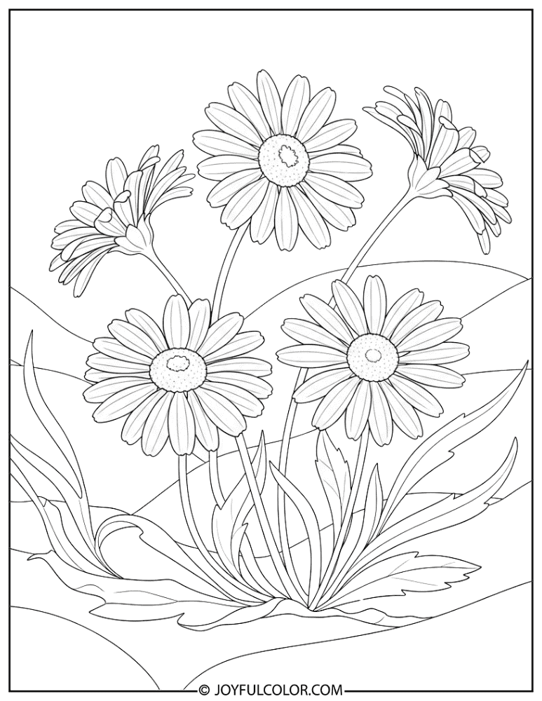 Art Nouveau Daisy Illustration Coloring Page