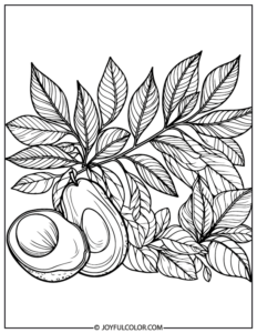 20 Printable Avocado Coloring Pages - Free Download