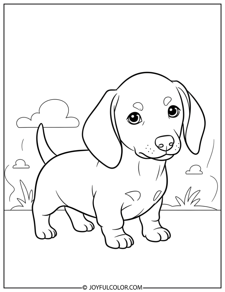 Baby Dachshund Puppy Coloring Page