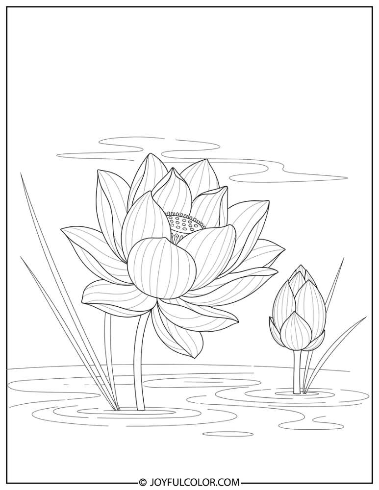 Baby Lotus Bud Coloring Page
