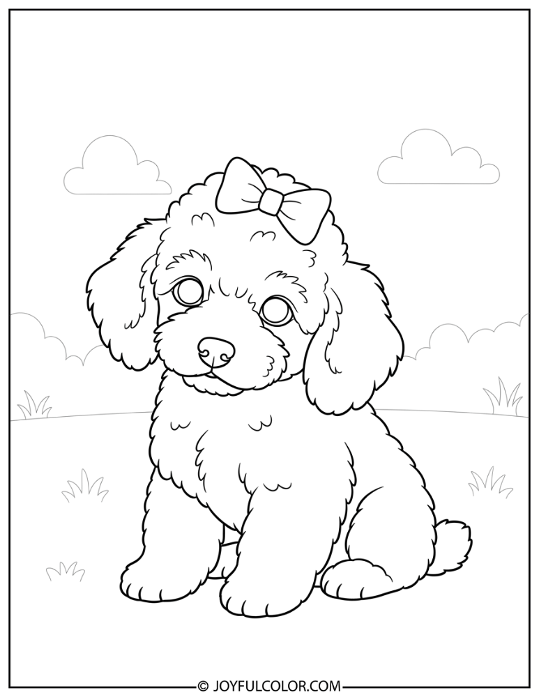 Baby Poodle with Bow Coloring Page