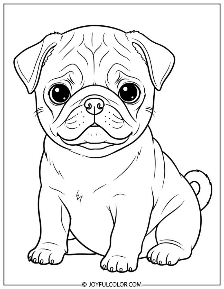 Baby Pug Puppy Coloring Page