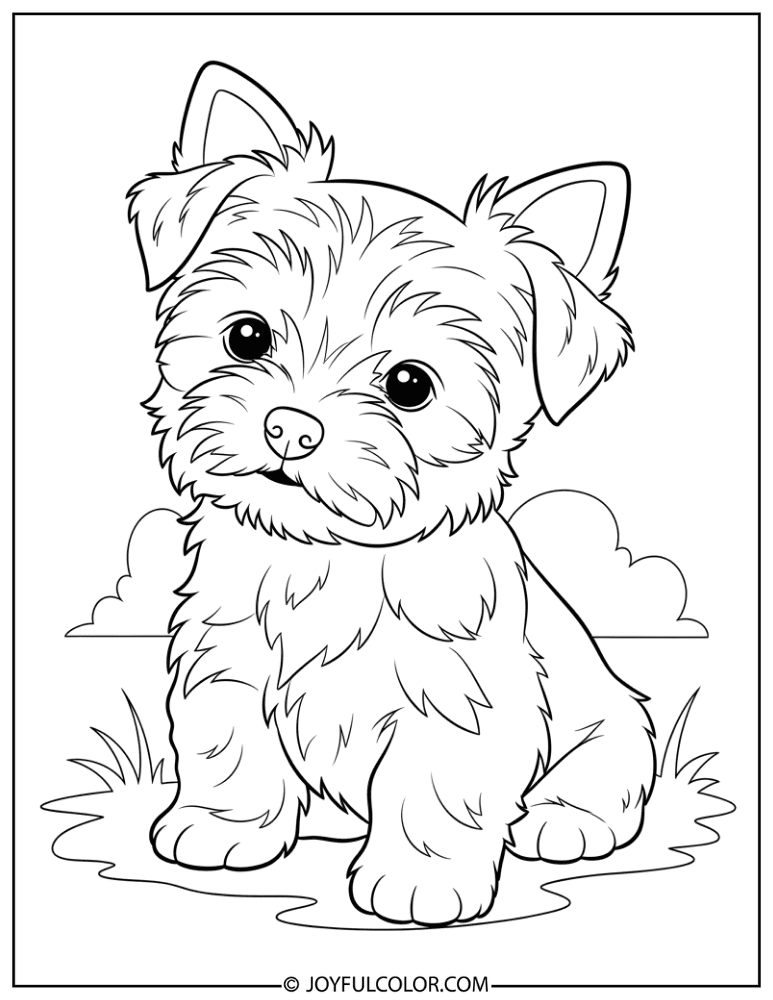 Baby Yorkie Puppy Coloring Page
