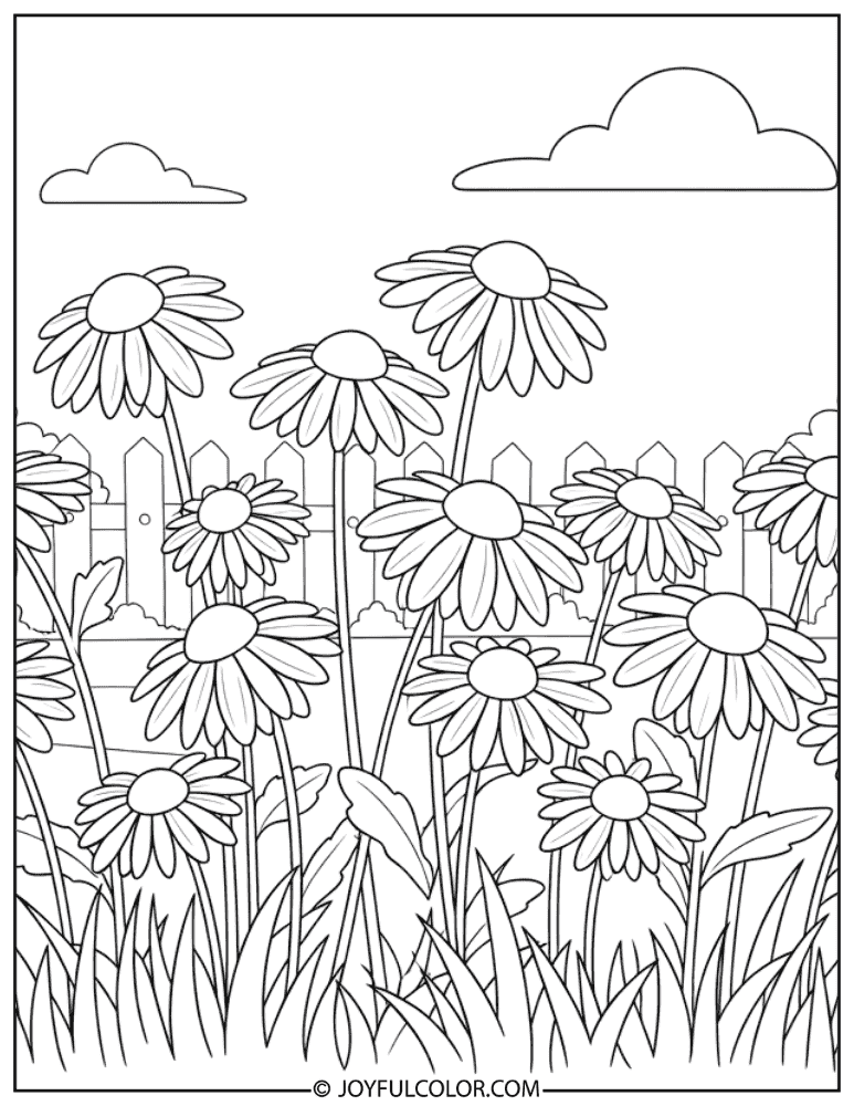 Backyard Daisy Patch Coloring Page