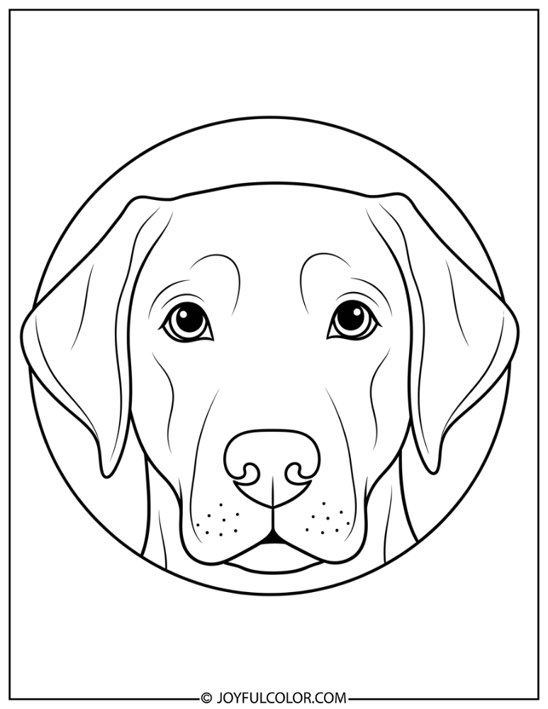 Basic Lab Face Coloring Page