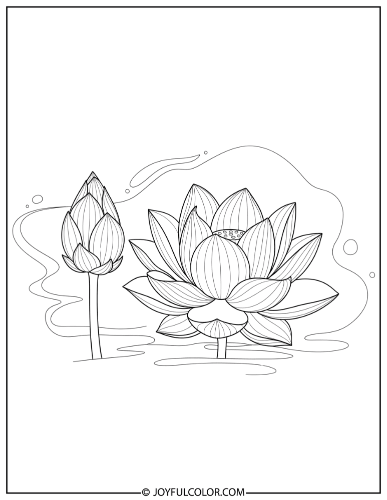 Basic Lotus Bud Coloring Page
