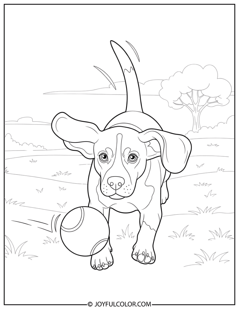 Beagle Chasing Ball Coloring Page