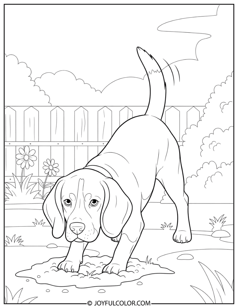 Beagle Digging in Garden Coloring Page