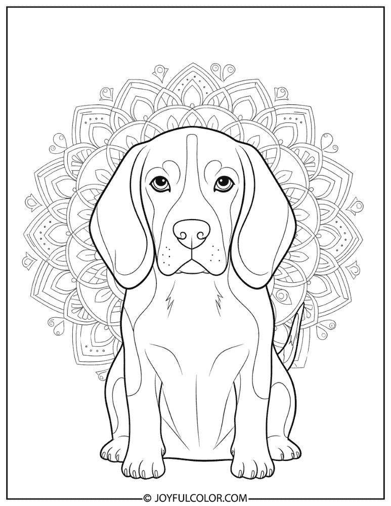 Beagle Mandala Style Coloring Page