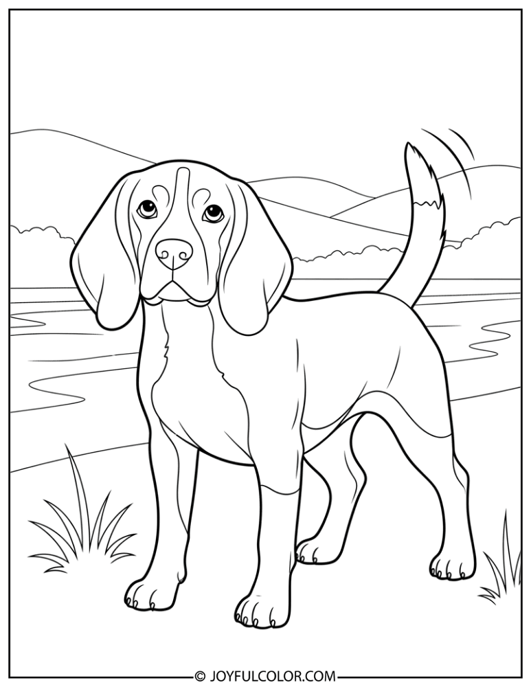 Beagle Near River Coloring Page