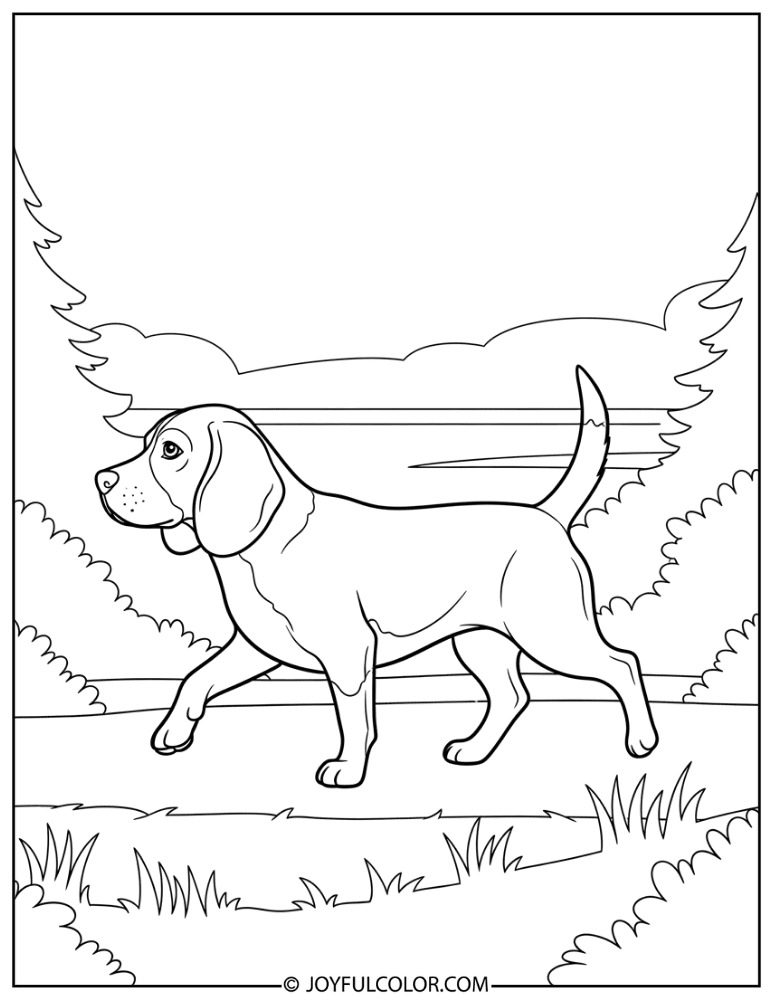 Beagle in Forest Trail Coloring Page