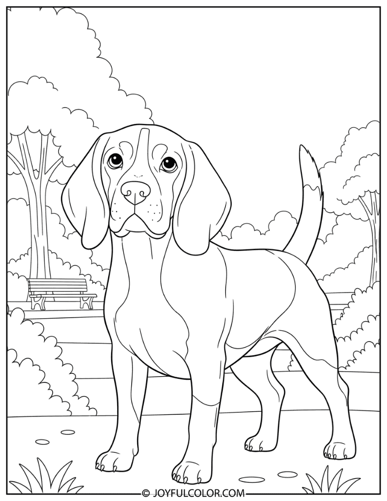 Beagle in Park Coloring Page