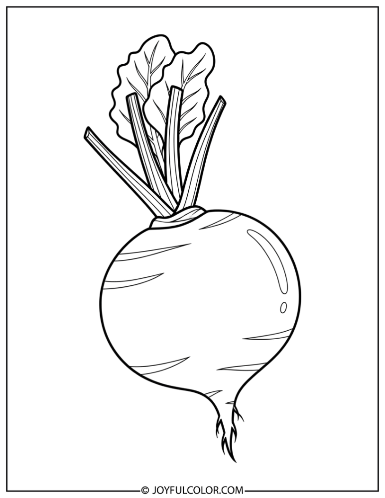 Beetroot Coloring Page