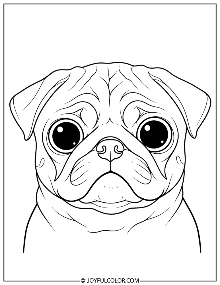 Big Eyes Pug Coloring Page