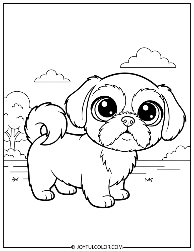 Big Eyes Shih Tzu Coloring Page