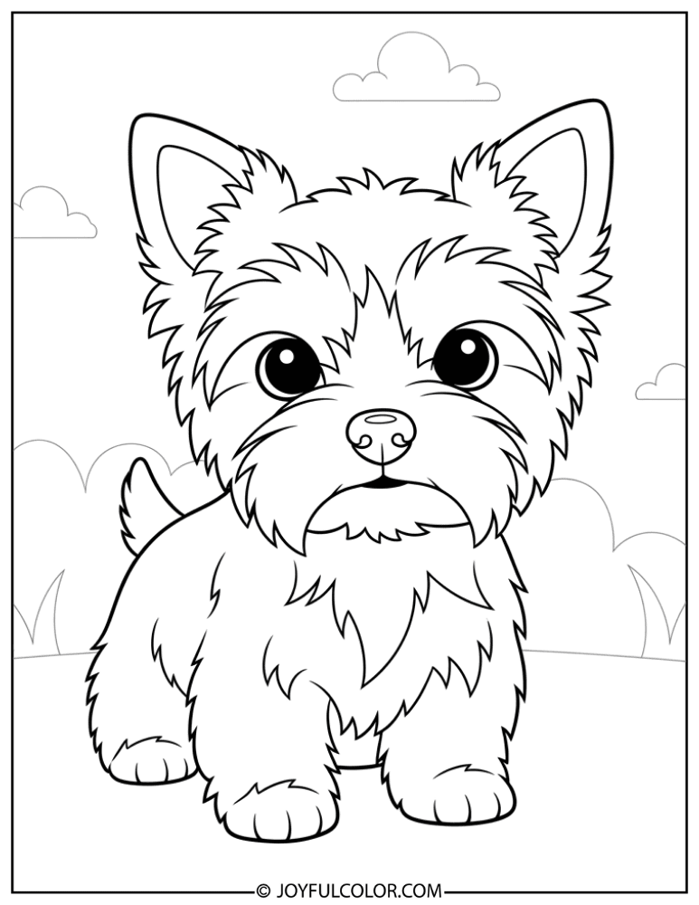 Big Eyes Yorkie Coloring Page