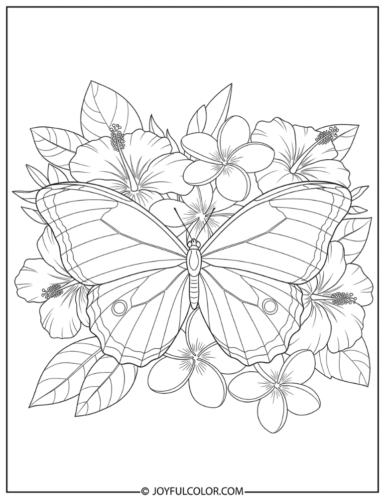 Blue Morpho Butterfly on Tropical Flowers Coloring Page