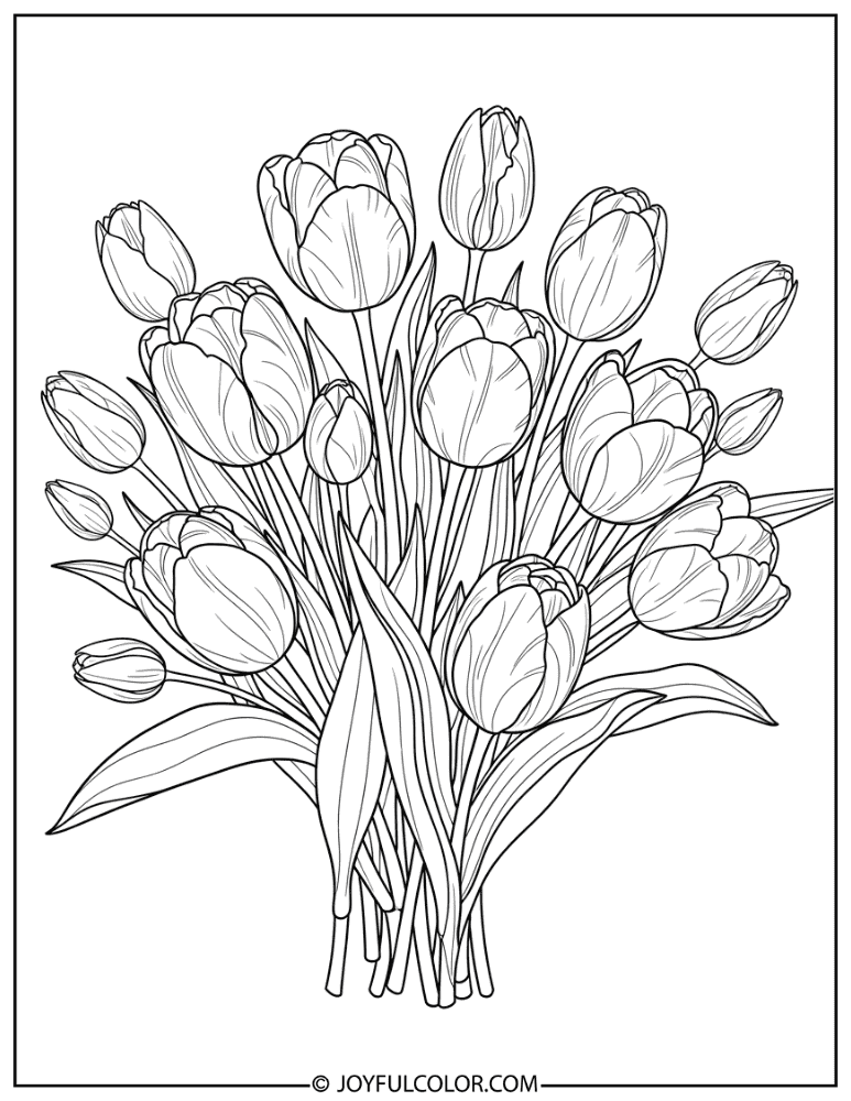 Bold Outline Tulip Bouquet Coloring Page