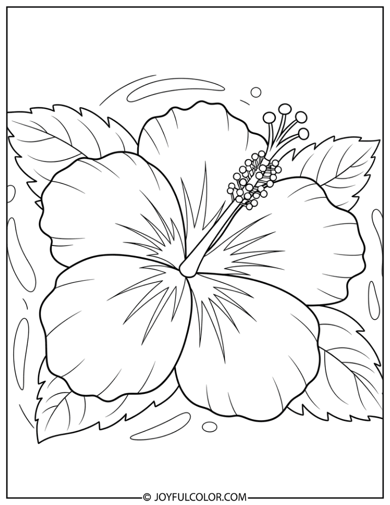 Botanical Hibiscus Illustration Coloring Page