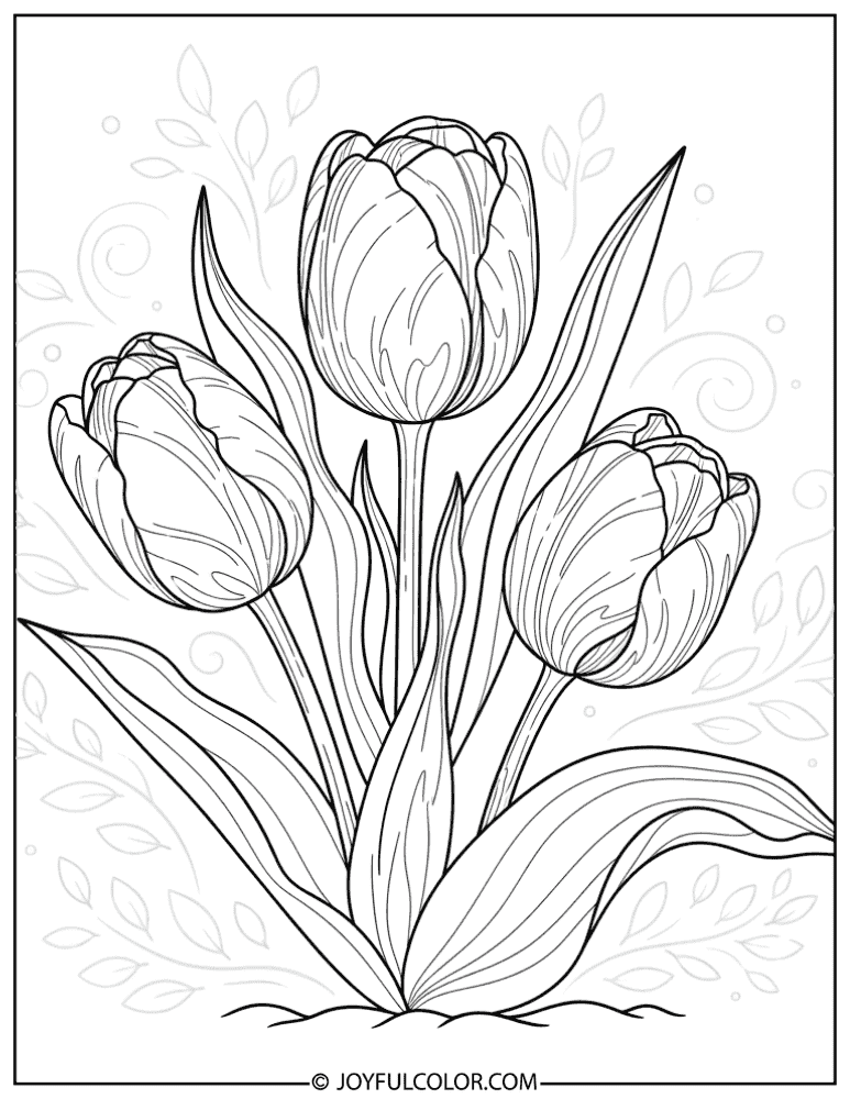 Botanical Tulip Drawing Coloring Page