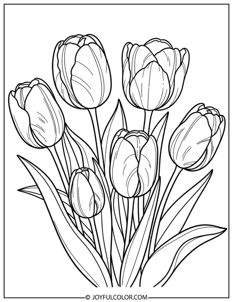 Botanical Tulip Illustration Coloring Page