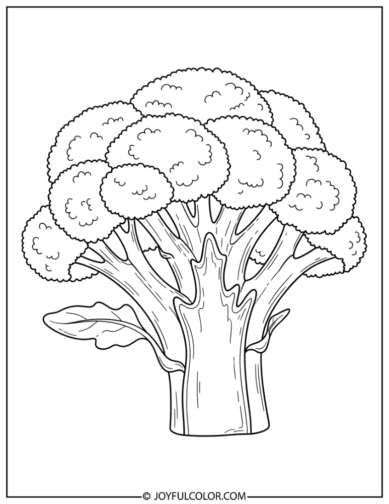 Broccoli Cross Section Coloring Page