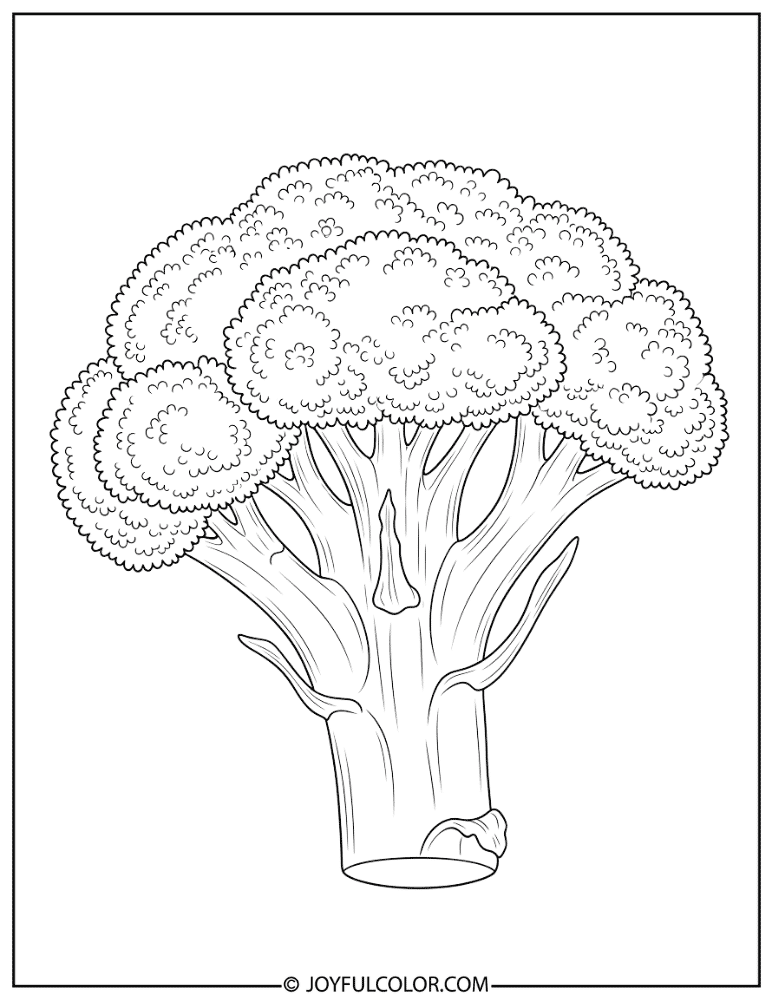 Broccoli Floret Close Up Coloring Page