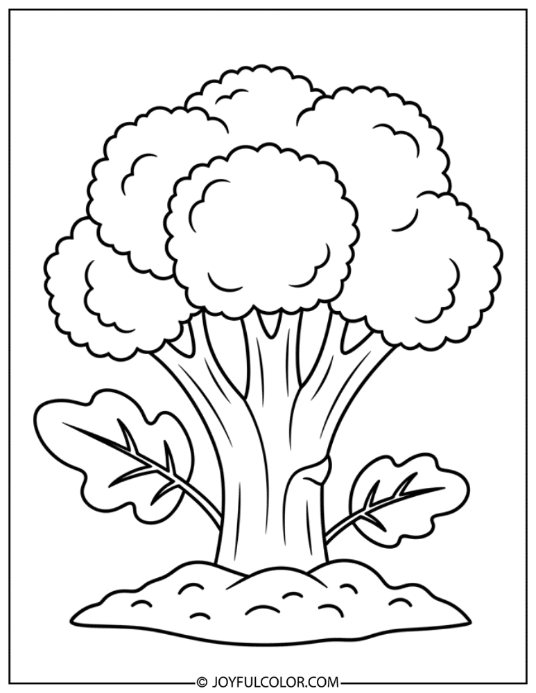 Broccoli Growing in Soil Coloring Page