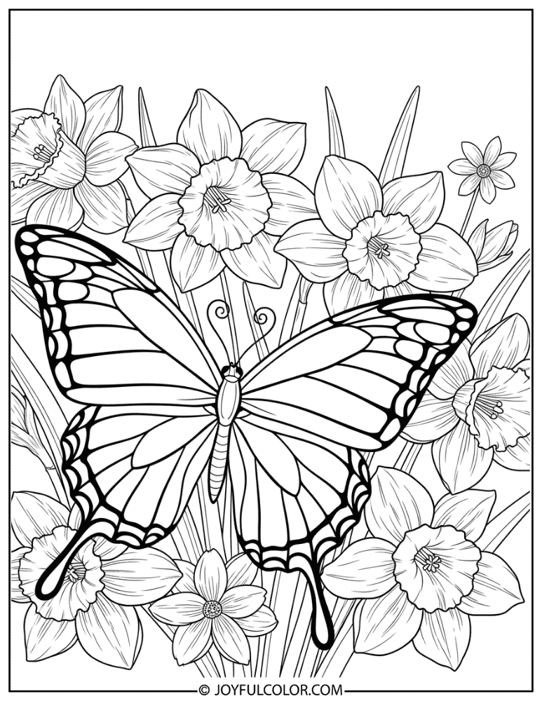 Butterfly Among Daffodils Coloring Page