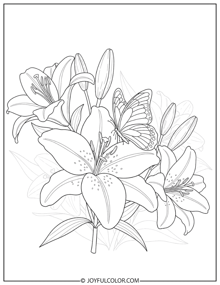 Butterfly Resting on Lily Coloring Page