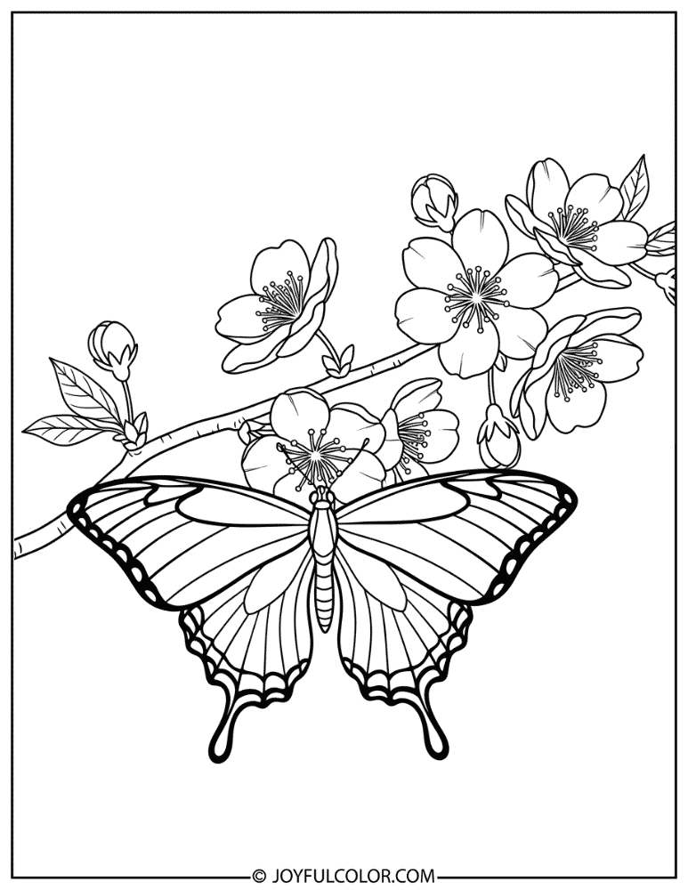 Butterfly and Cherry Blossom Branch Coloring Page