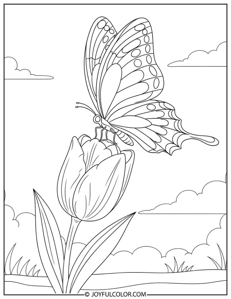 Butterfly on Tulip Coloring Page