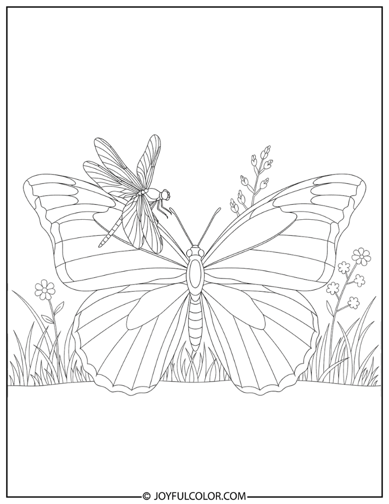 Butterfly with Dragonfly Coloring Page