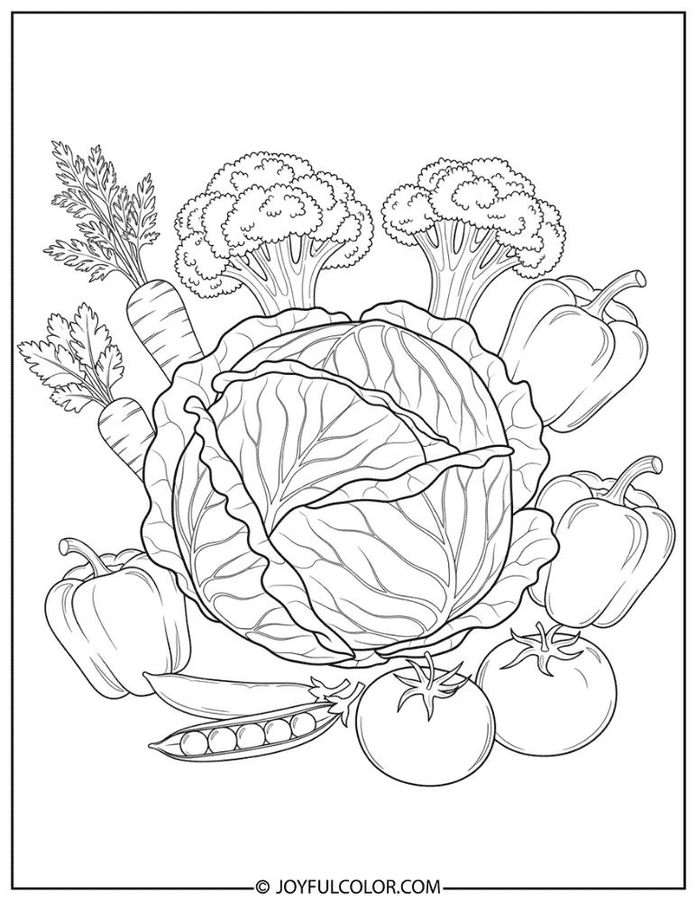 Cabbage Coloring Page