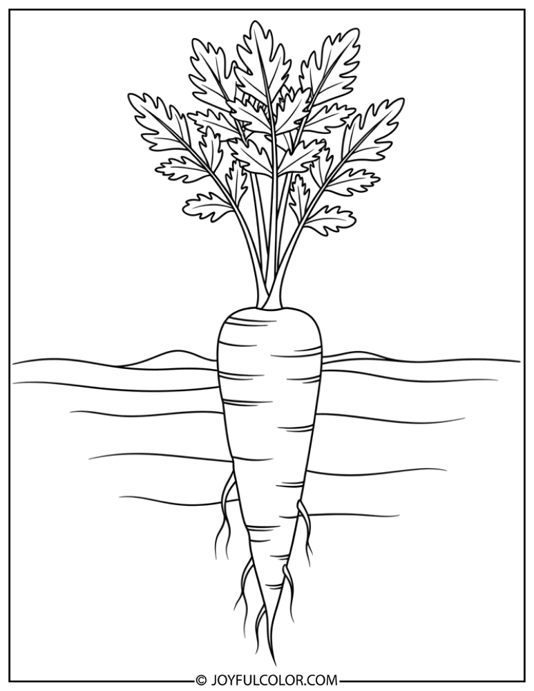 Carrot Growing in Soil Coloring Page