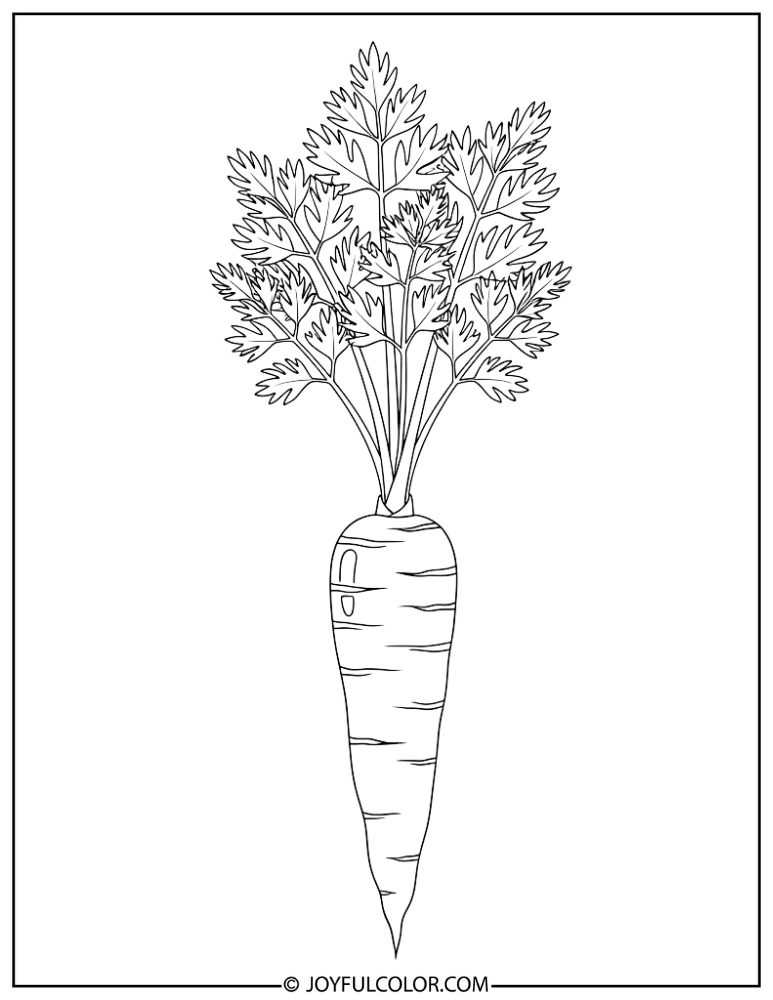 Carrot with Leaves Coloring Page