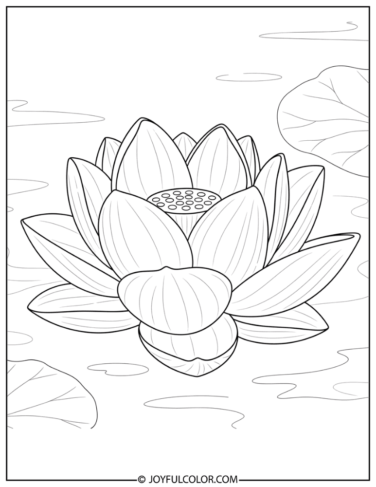 Cartoon Lotus Blossom Coloring Page