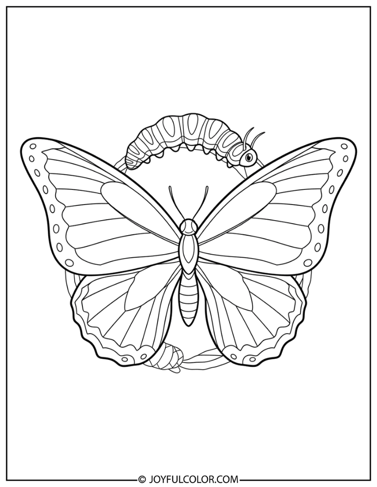Caterpillar to Butterfly Cycle Coloring Page