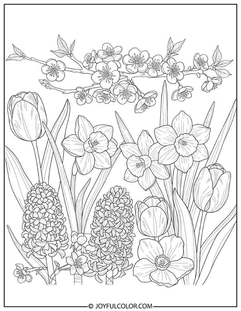 Cherry Blossom Botanical Study Coloring Page