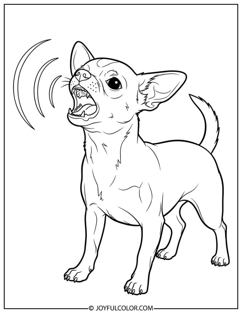 Chihuahua Barking Loud Coloring Page