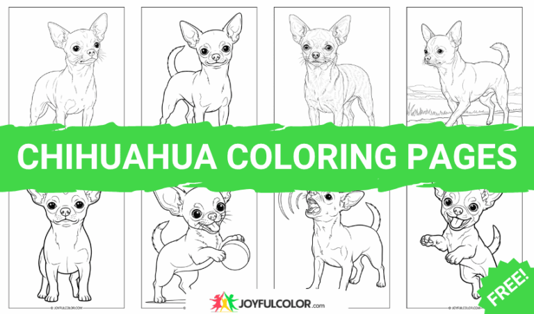 45+ Chihuahua Coloring Pages – FREE Printable Sheets for Dog Lovers!