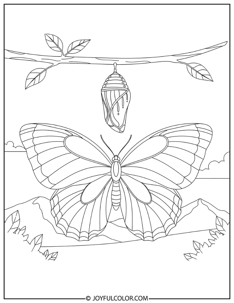 Chrysalis Stage Coloring Page