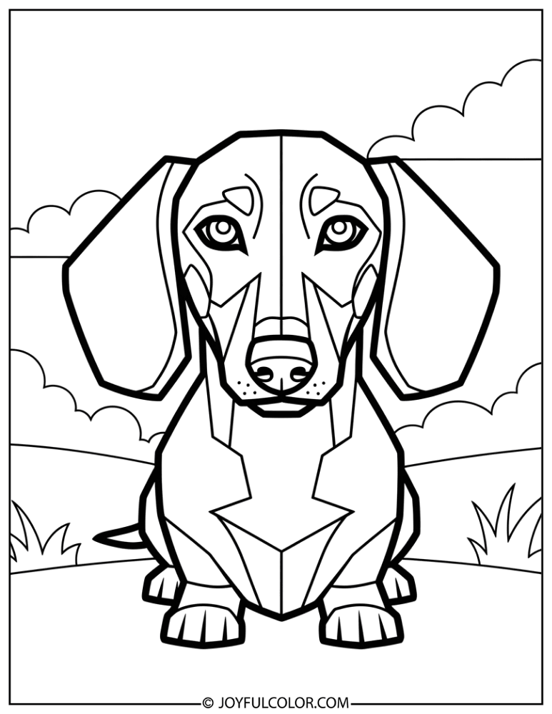 Chunky Shape Dachshund