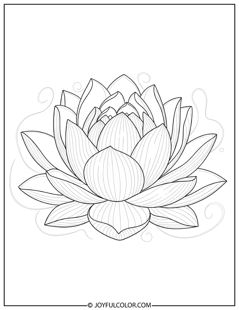 Classic Blooming Lotus Coloring Page