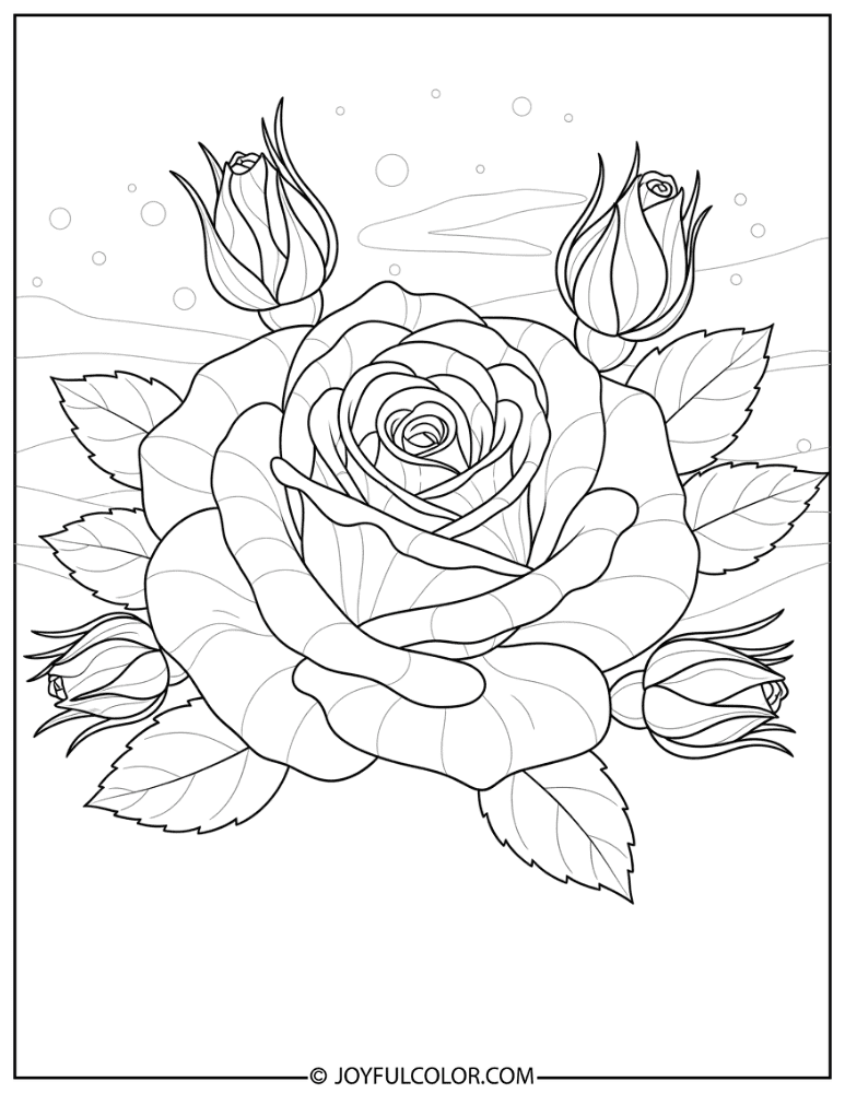 Classic Rose Bloom Coloring Page